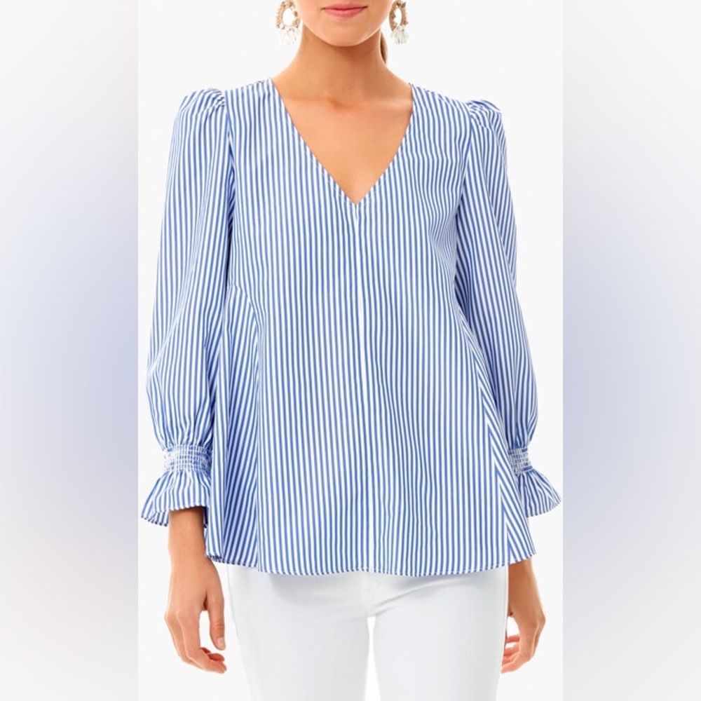 Tuckernuck Blue and White Striped V-Neck Blouse
